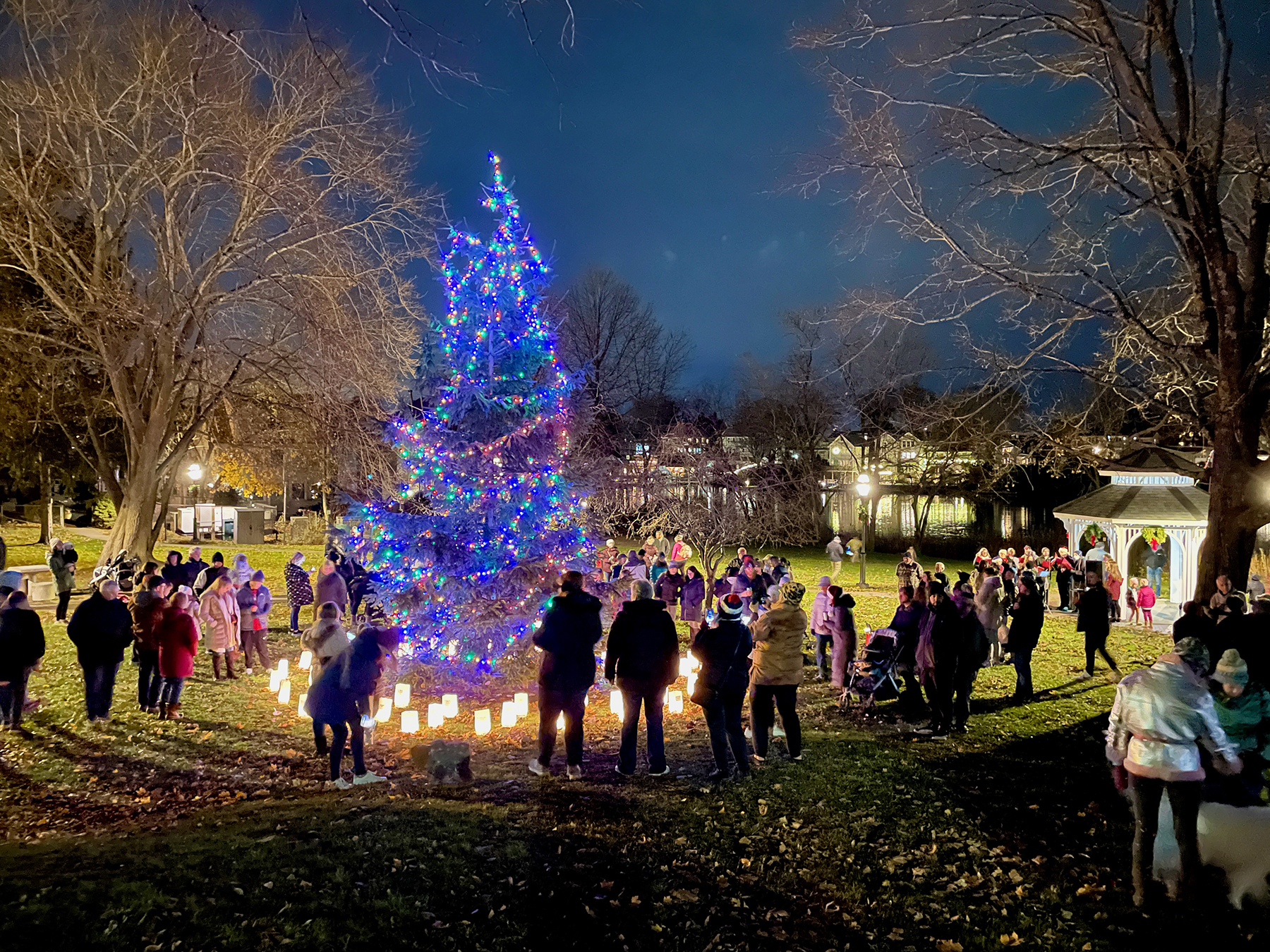 Rose tree park christmas store lights 2020